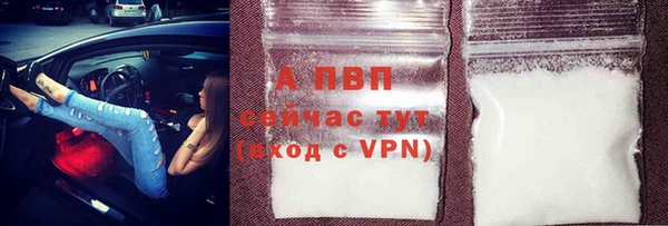 спиды Семёнов